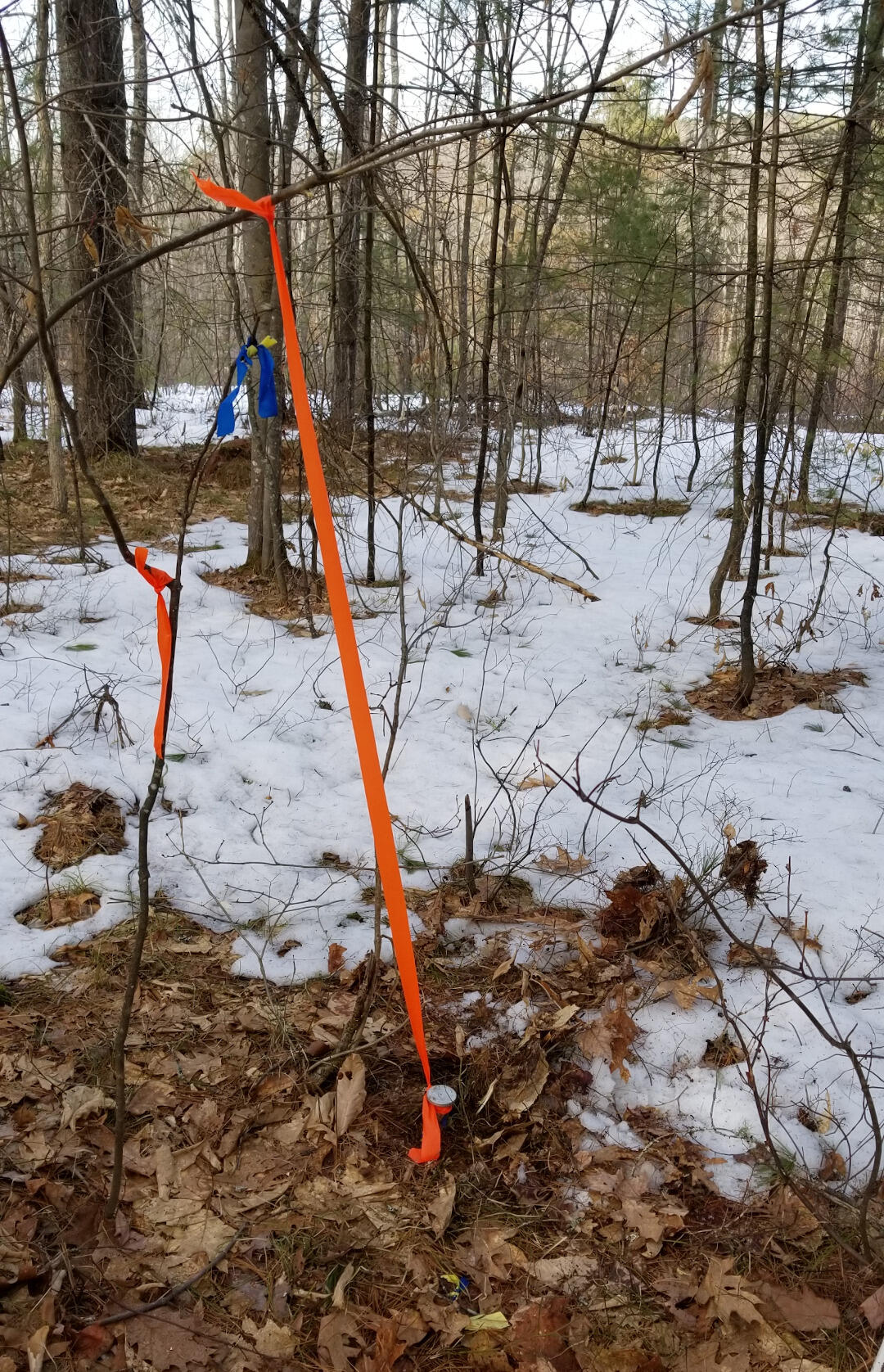 B B Old County Road Hiram, ME 04041 - Photo 15 of 15 R14-47_Parcels-A-B_back-pin_20200316_170