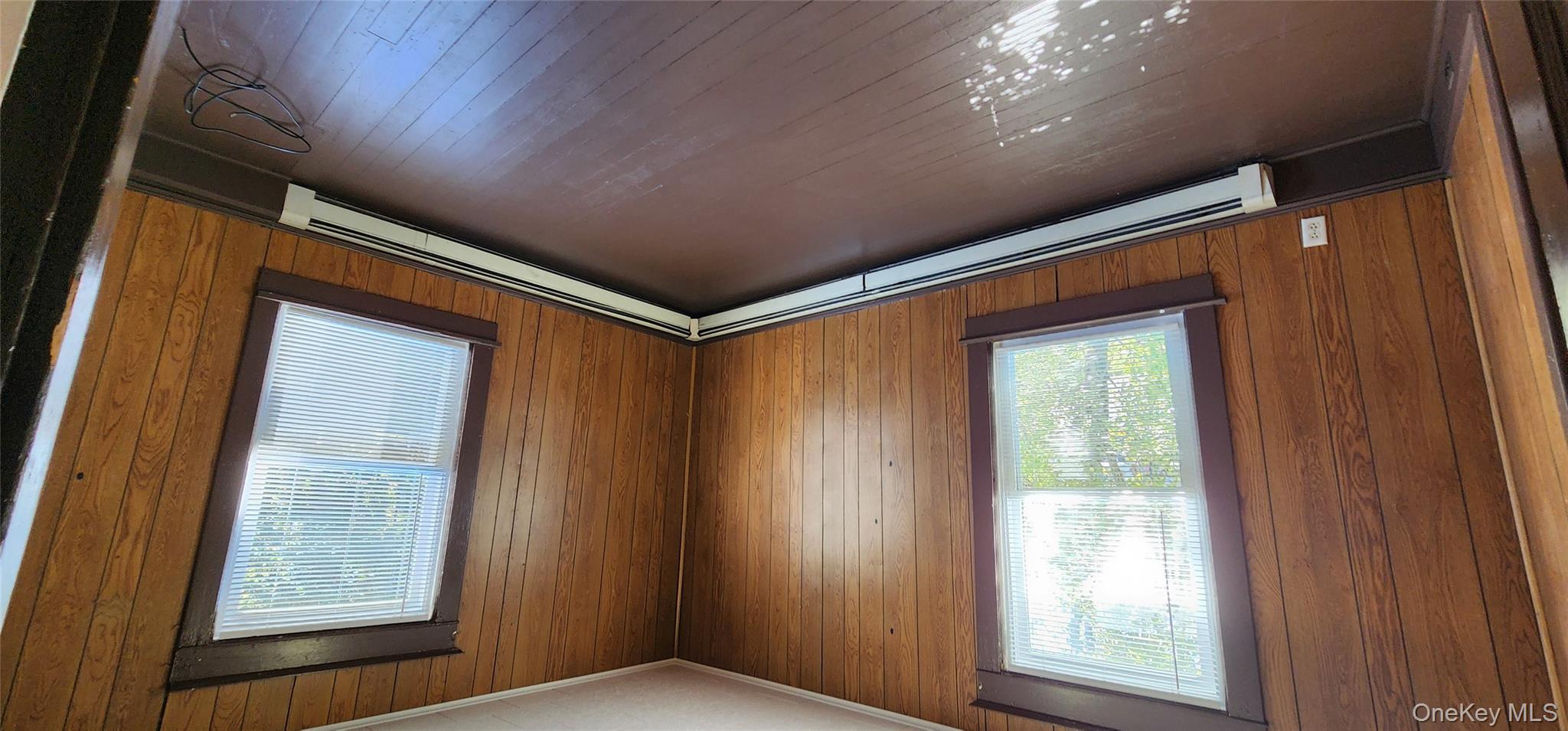 20 Delaware Street, Unit 1 Port Jervis, NY 12771 - Photo 11 of 12 Unfurnished room with wood walls, a baseboard heating unit, plenty of natural light, dark wood-type flooring, and ornamental molding