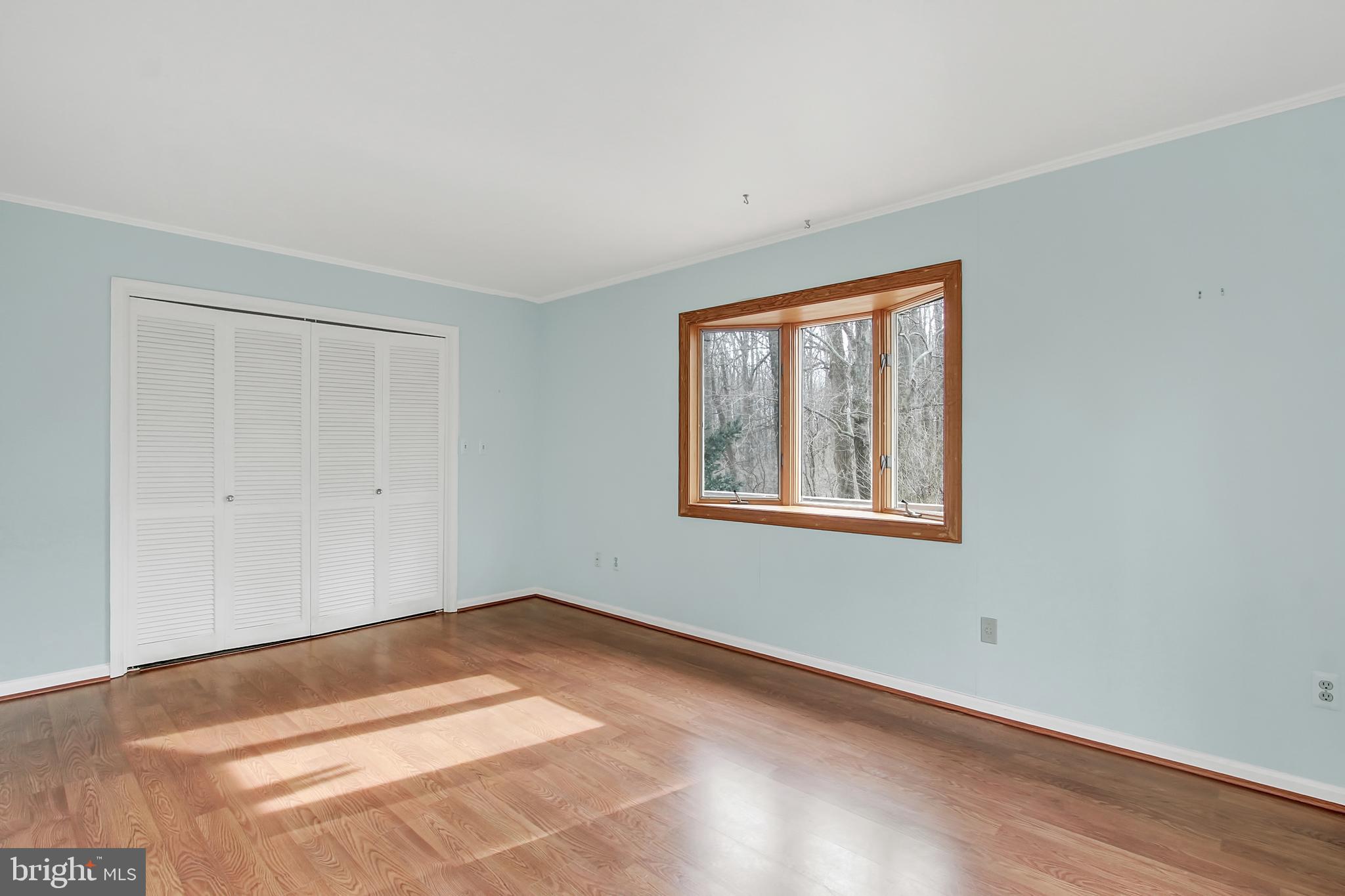 16611 Jm Pearce Road Monkton, MD 21111 - Photo 29 of 94 Main level den/possible 1st floor master