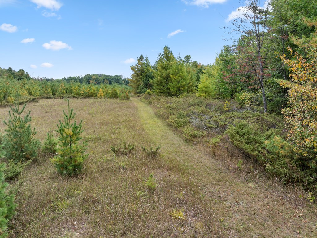 12462 Timberline Road Ellison Bay, WI 54210 - Photo 66 of 66