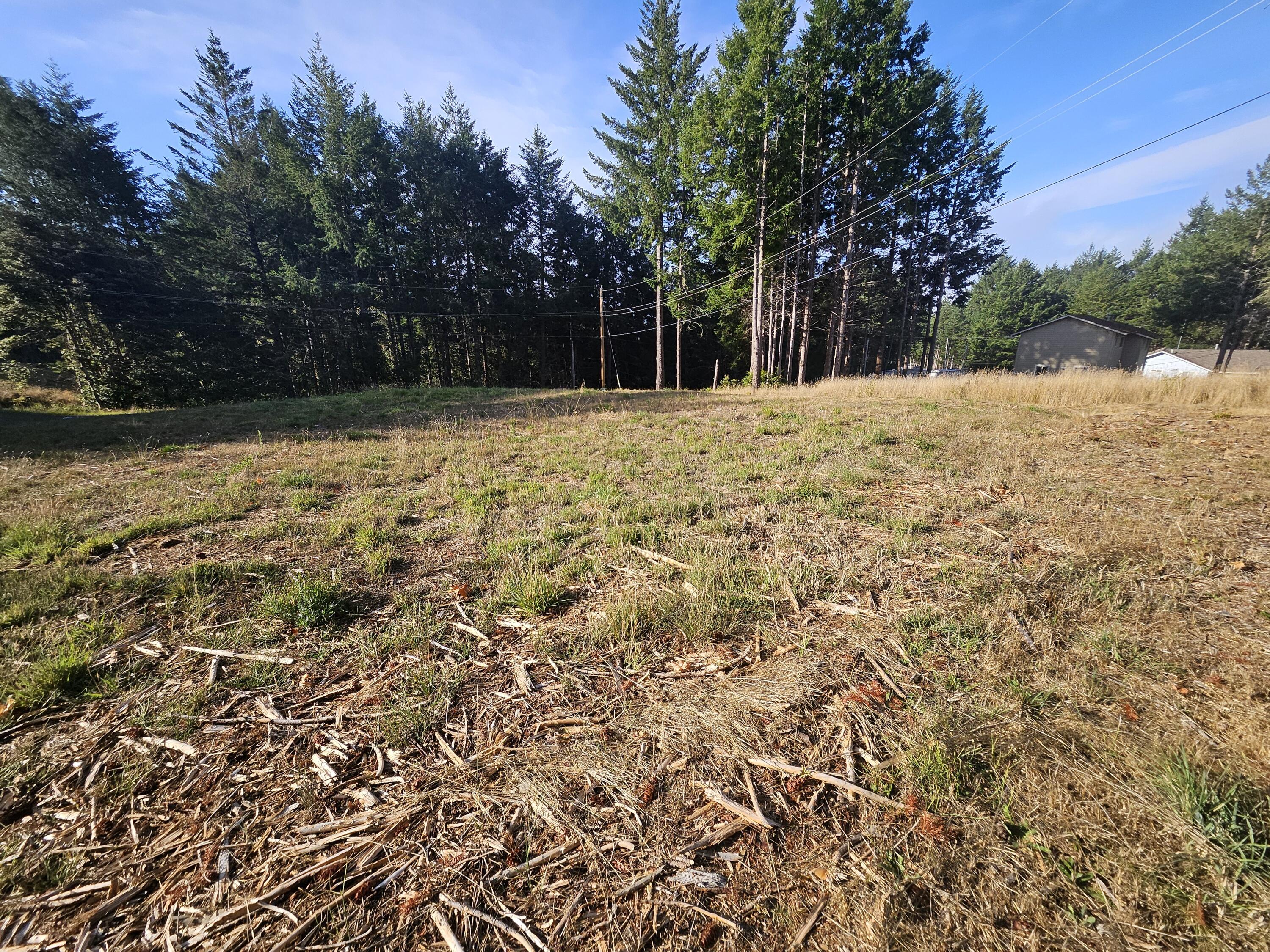 761 Redwood Road Shelter Cove, CA 95589 - Photo 1 of 9 Lot