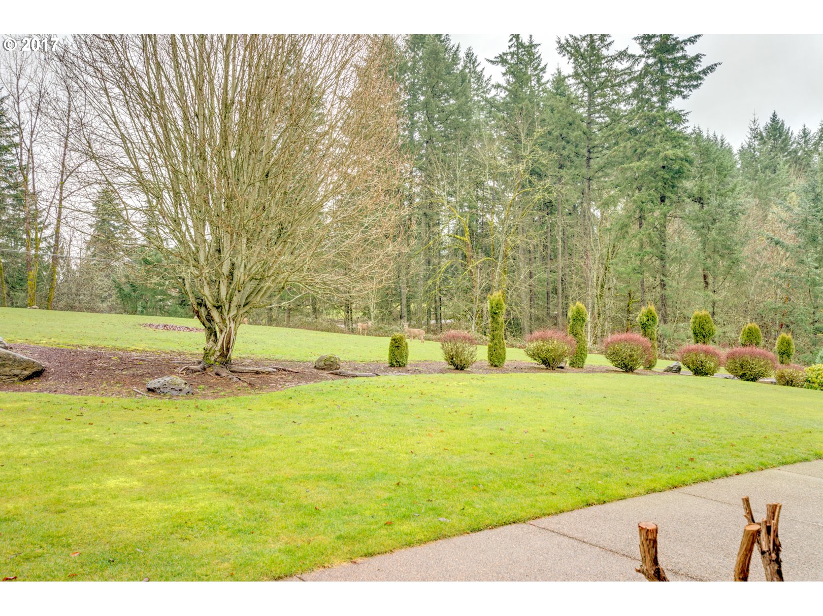 19023 Southwest Neugebauer Road Hillsboro, OR 97123 - Photo 19 of 24 Gallery Image 19