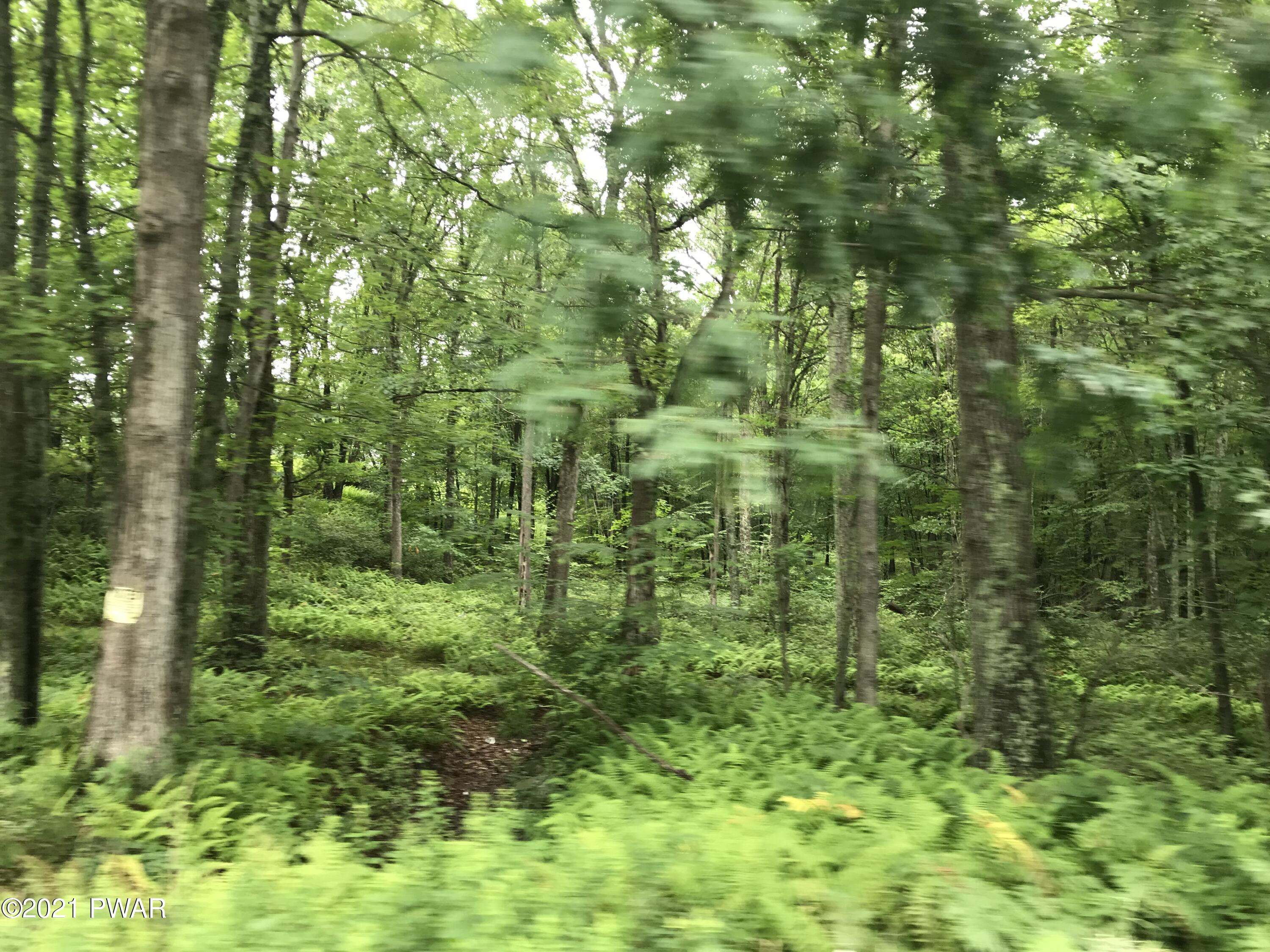 112 Swamp Brook Path Hawley, PA 18428 - Photo 11 of 13 a view of a lush green forest