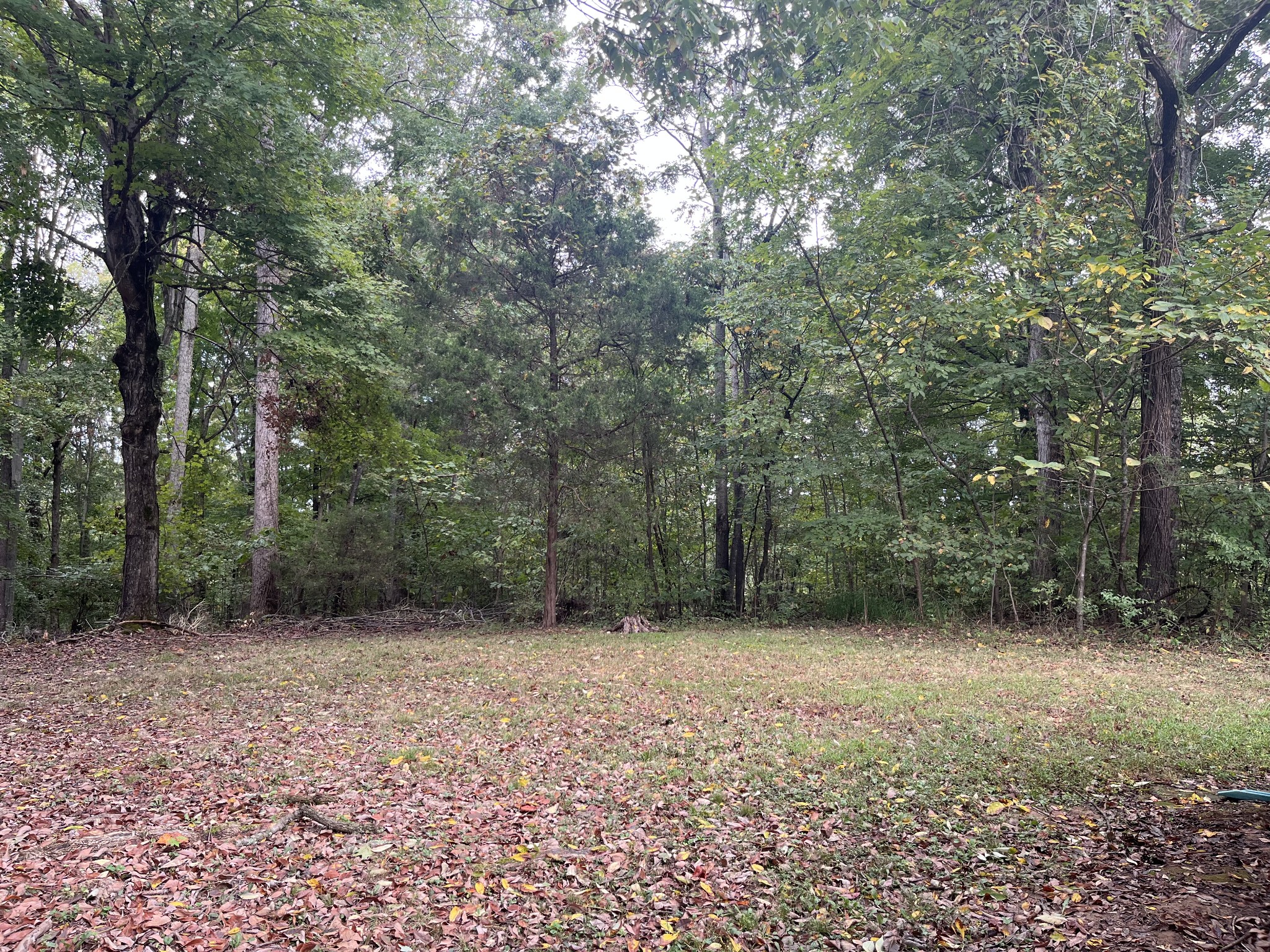 1065 Valley View Road Ashland City, TN 37015 - Photo 27 of 28 Gallery Image 27