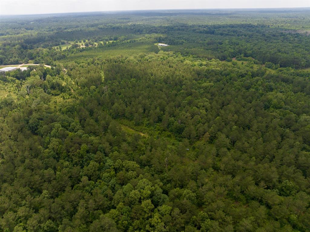 0 Ferguson Road Coushatta, LA 71019 - Photo 8 of 13