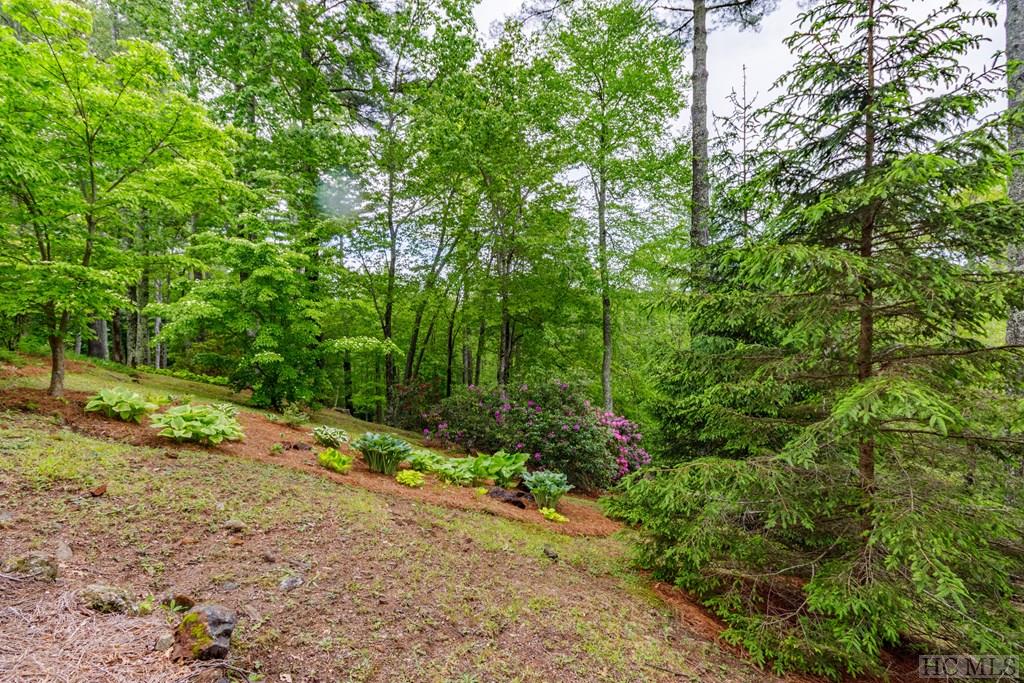 441 High Meadow Road Cullowhee, NC 28723 - Photo 52 of 52 Gallery Image 52
