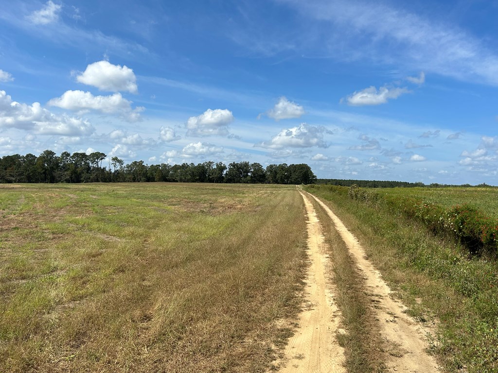 20.33-ac Sewell Road Dothan, AL 36301 - Photo 13 of 36