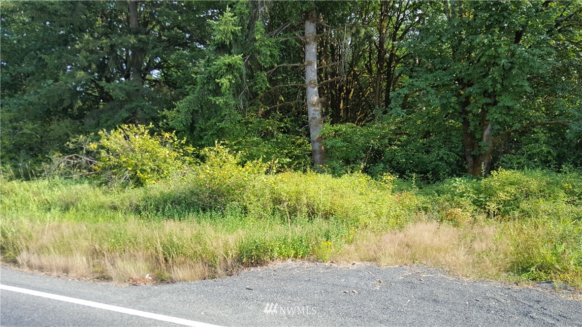 301 West Avery Road Winlock, WA 98596 - Photo 1 of 1