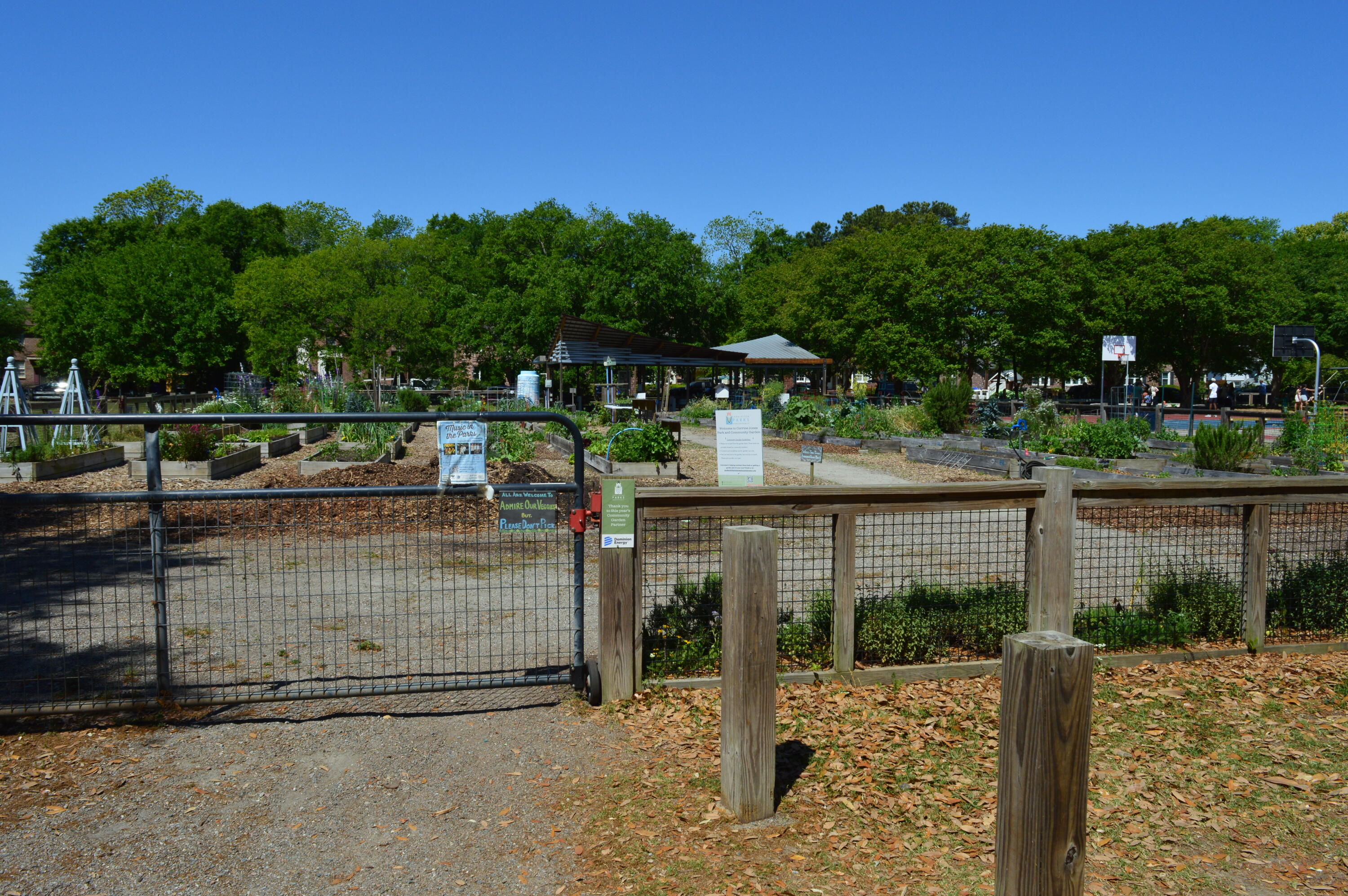 21 Hester Street, Unit 8 Charleston, SC 29403 - Photo 47 of 64 Corrine Jones Playground