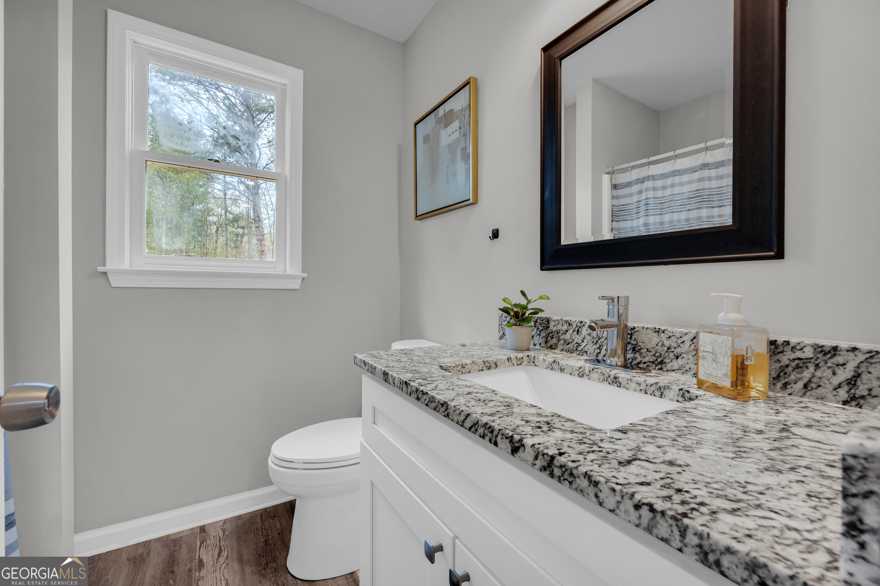 462 Brown Bridge Road Auburn, GA 30011 - Photo 15 of 17