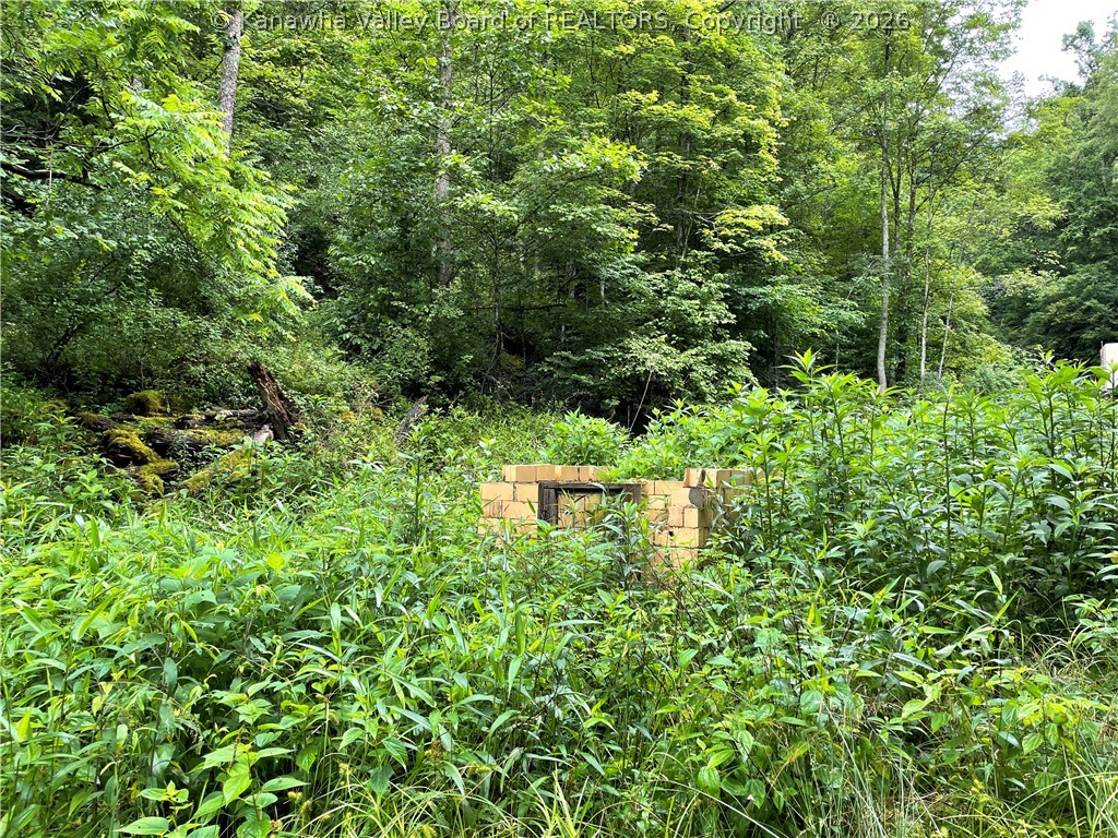 68 Meadow Branch Road Bomont, WV 25030 - Photo 9 of 17 Gallery Image 9