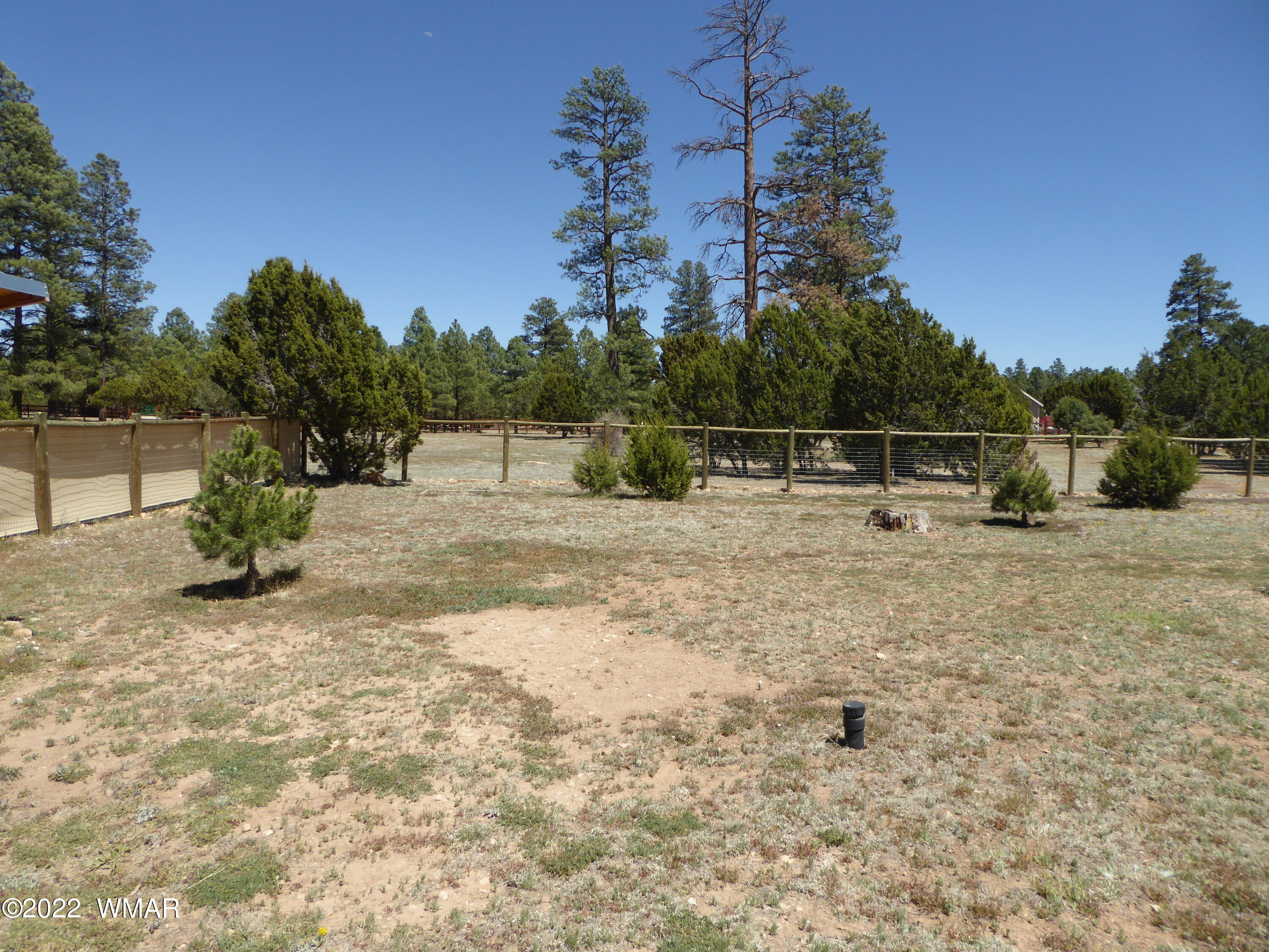 2953 Pine Rim Road Overgaard, AZ 85933 - Photo 28 of 32 a backyard of a house with lots of green space