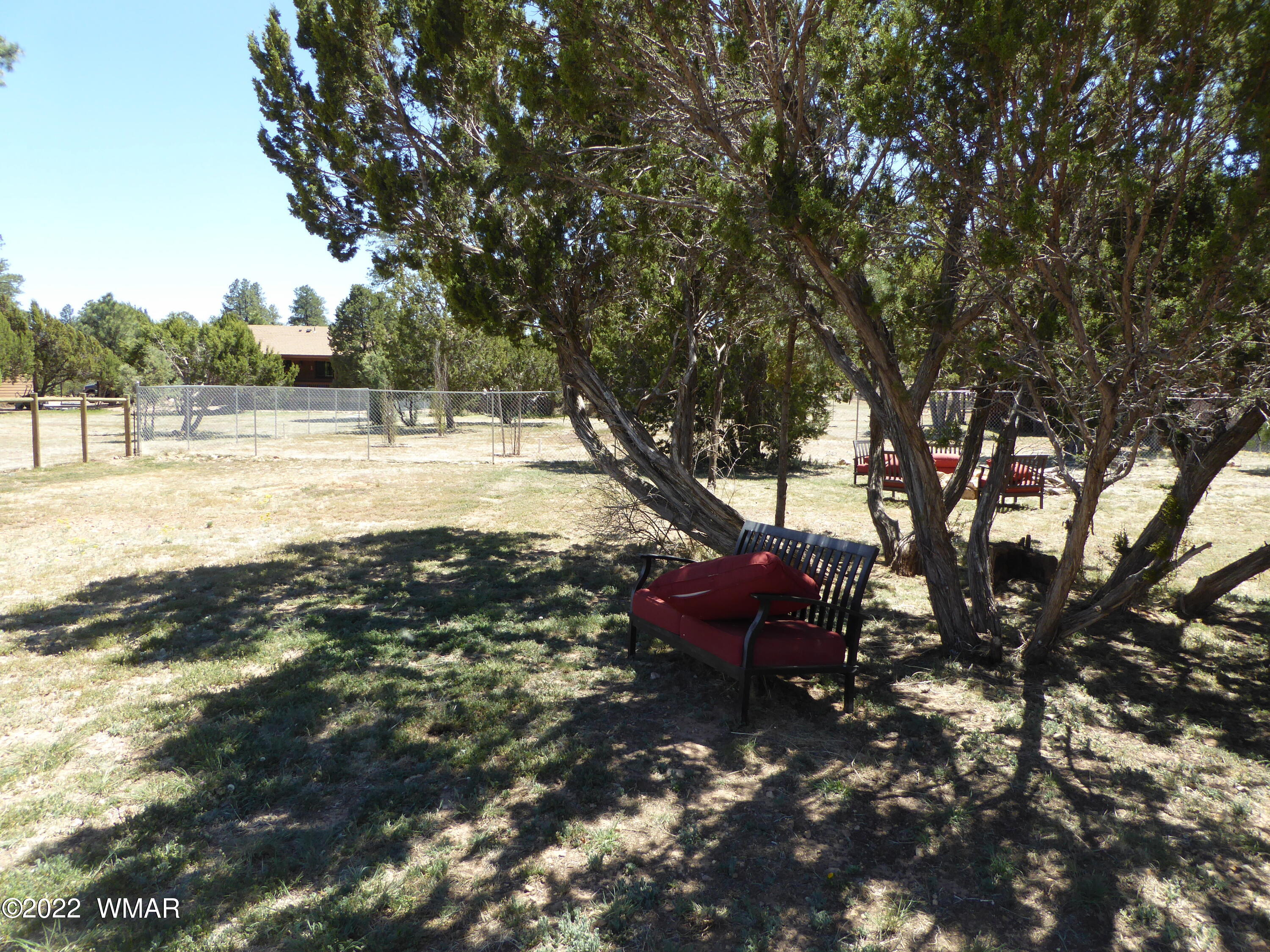 2953 Pine Rim Road Overgaard, AZ 85933 - Photo 30 of 32 a view of backyard with outdoor space