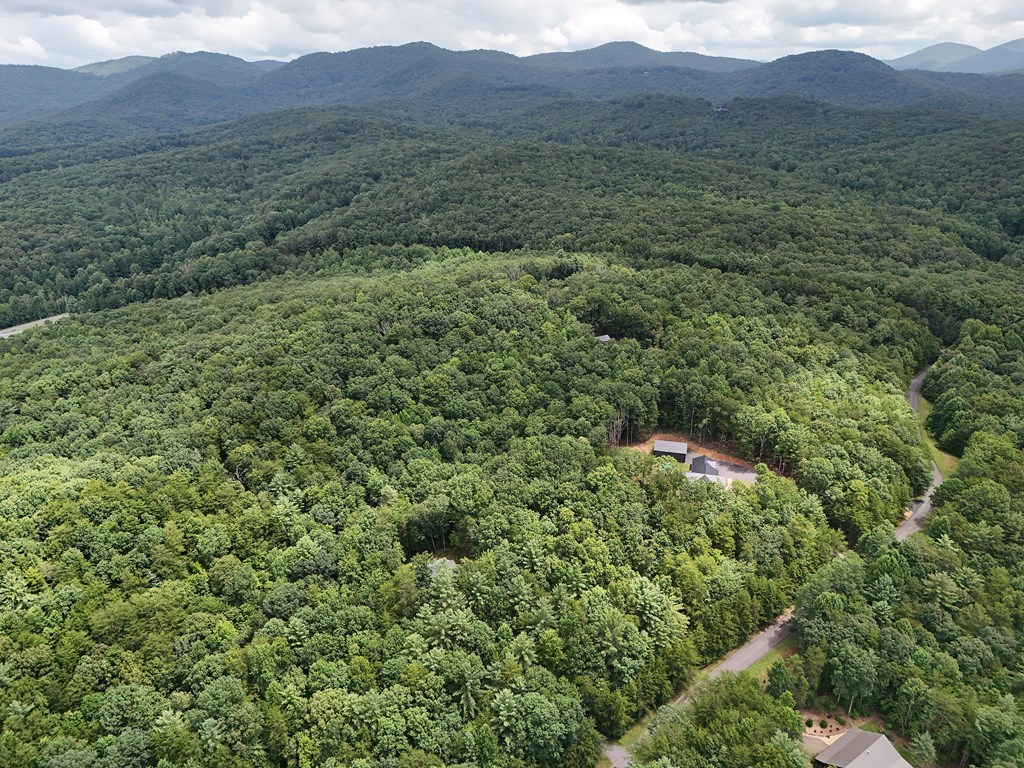 Lot 5 East Ridge Lane Ellijay, GA 30536 - Photo 19 of 24 Gallery Image 19
