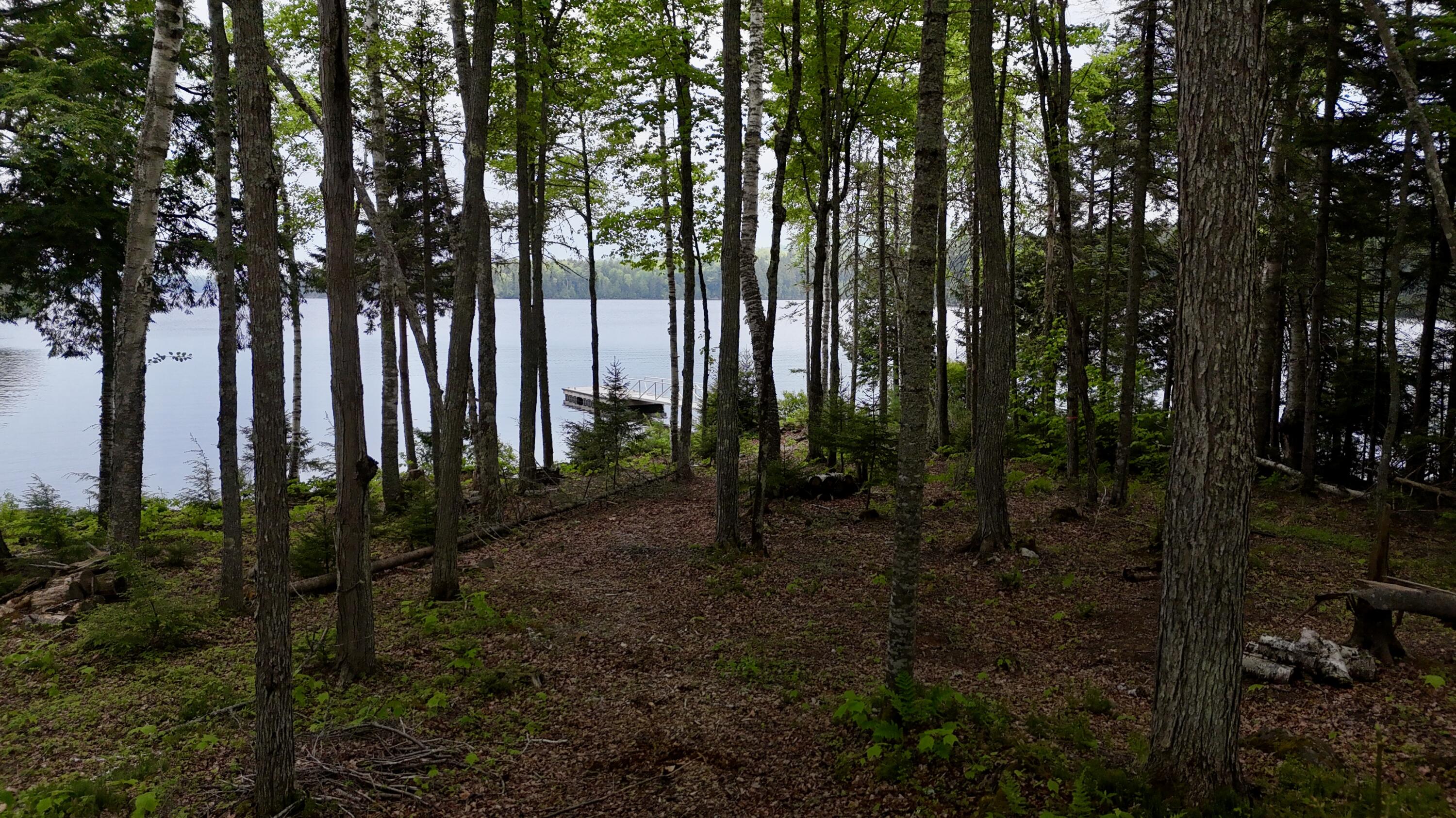 Lot 3 Mountain View Road Greenville Junction, ME 04442 - Photo 8 of 12 DJI_20250612134214_0864_D