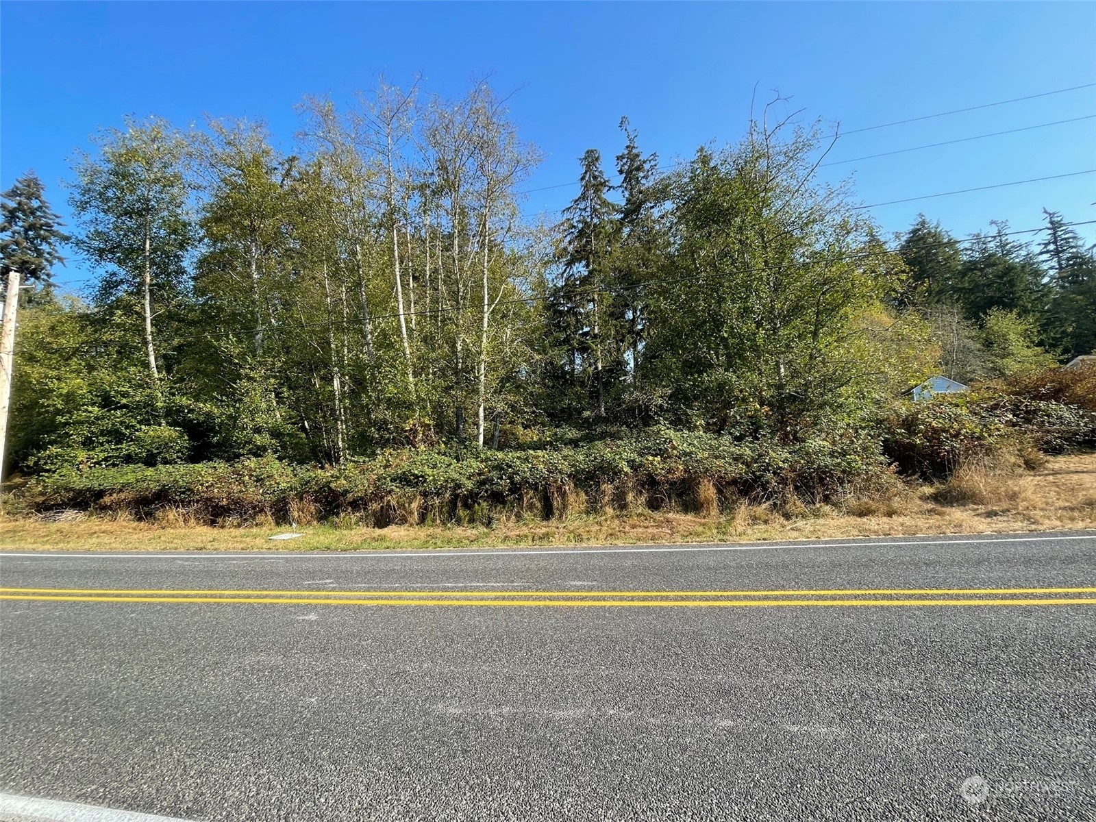 34-xx East Harbor Road Langley, WA 98260 - Photo 2 of 14 a view of a house and a yard and trees