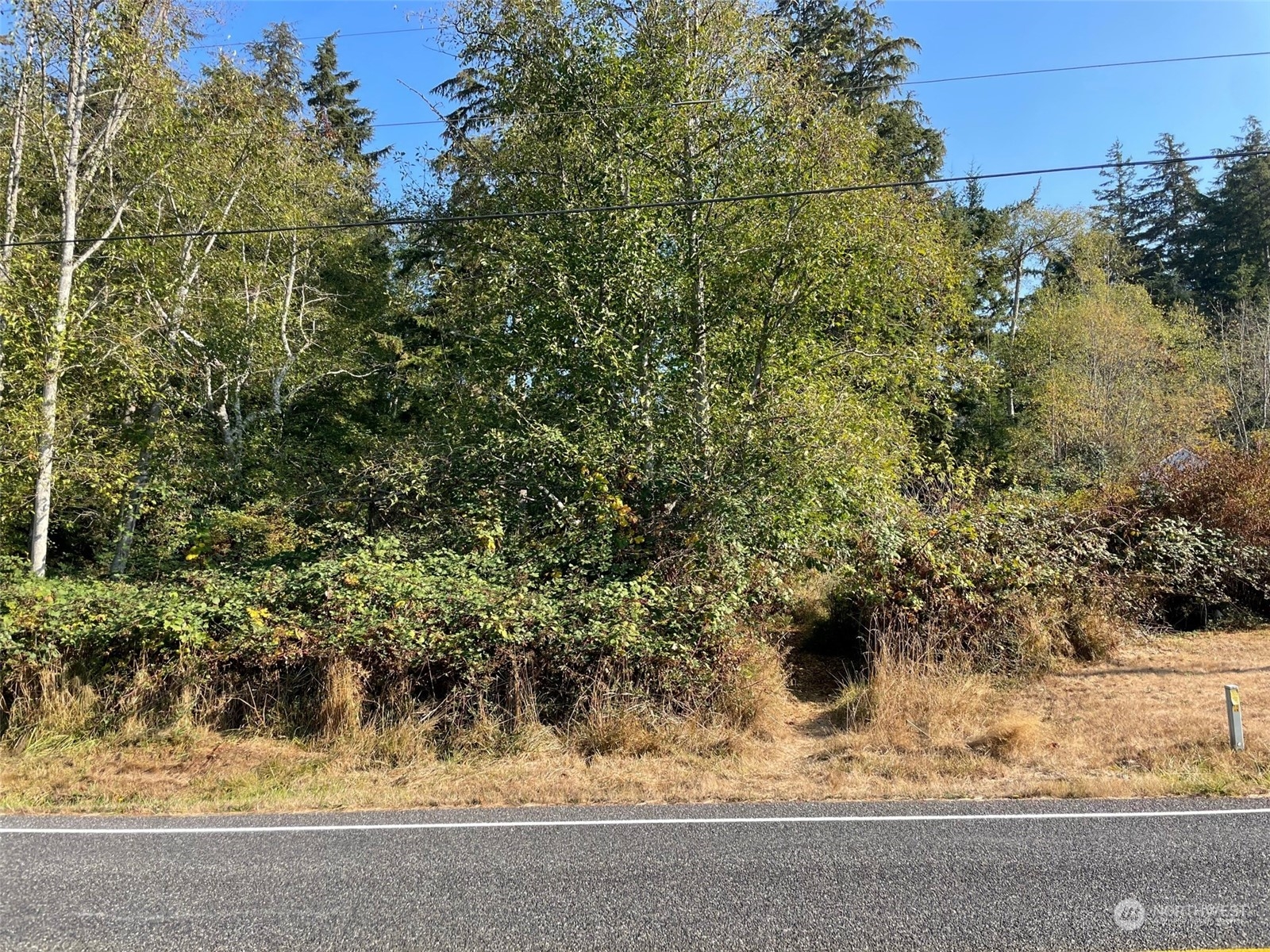 34-xx East Harbor Road Langley, WA 98260 - Photo 3 of 14 a view of a yard