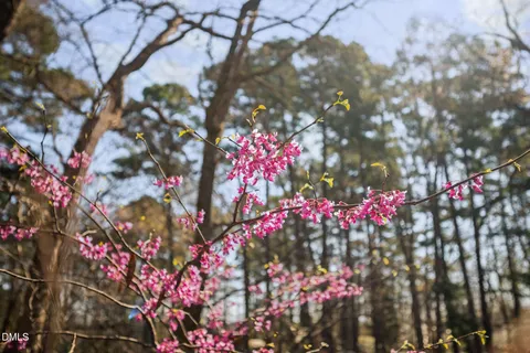 $1,650,000 | 127 Glendale Drive, Chapel Hill, NC 27514