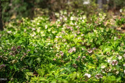 $1,650,000 | 127 Glendale Drive, Chapel Hill, NC 27514