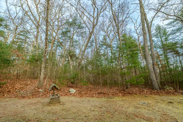 a view of a house with backyard patio and backyard