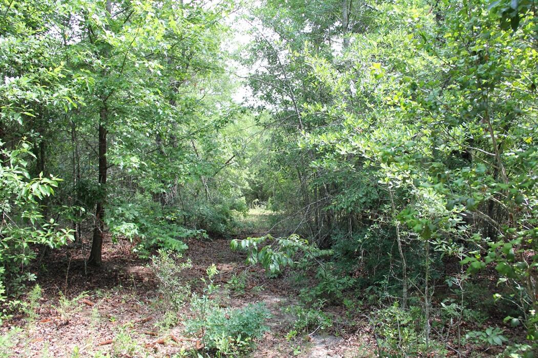 0 New Light Drive Neeses, SC 29107 - Photo 12 of 14 IMG_9970