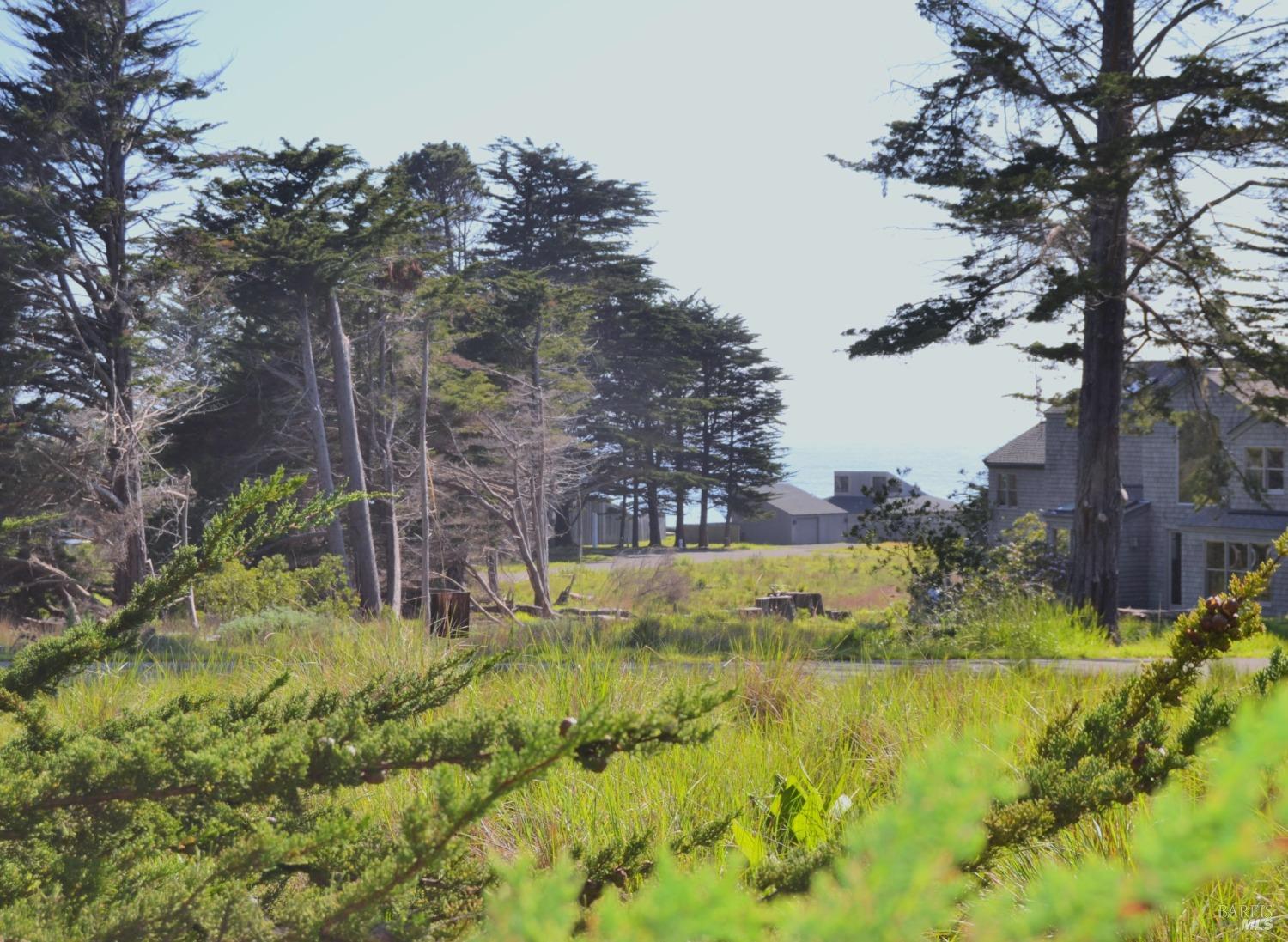 135 Shepherds Close The Sea Ranch, CA 95497 - Photo 4 of 34 Ocean View from standing on lot