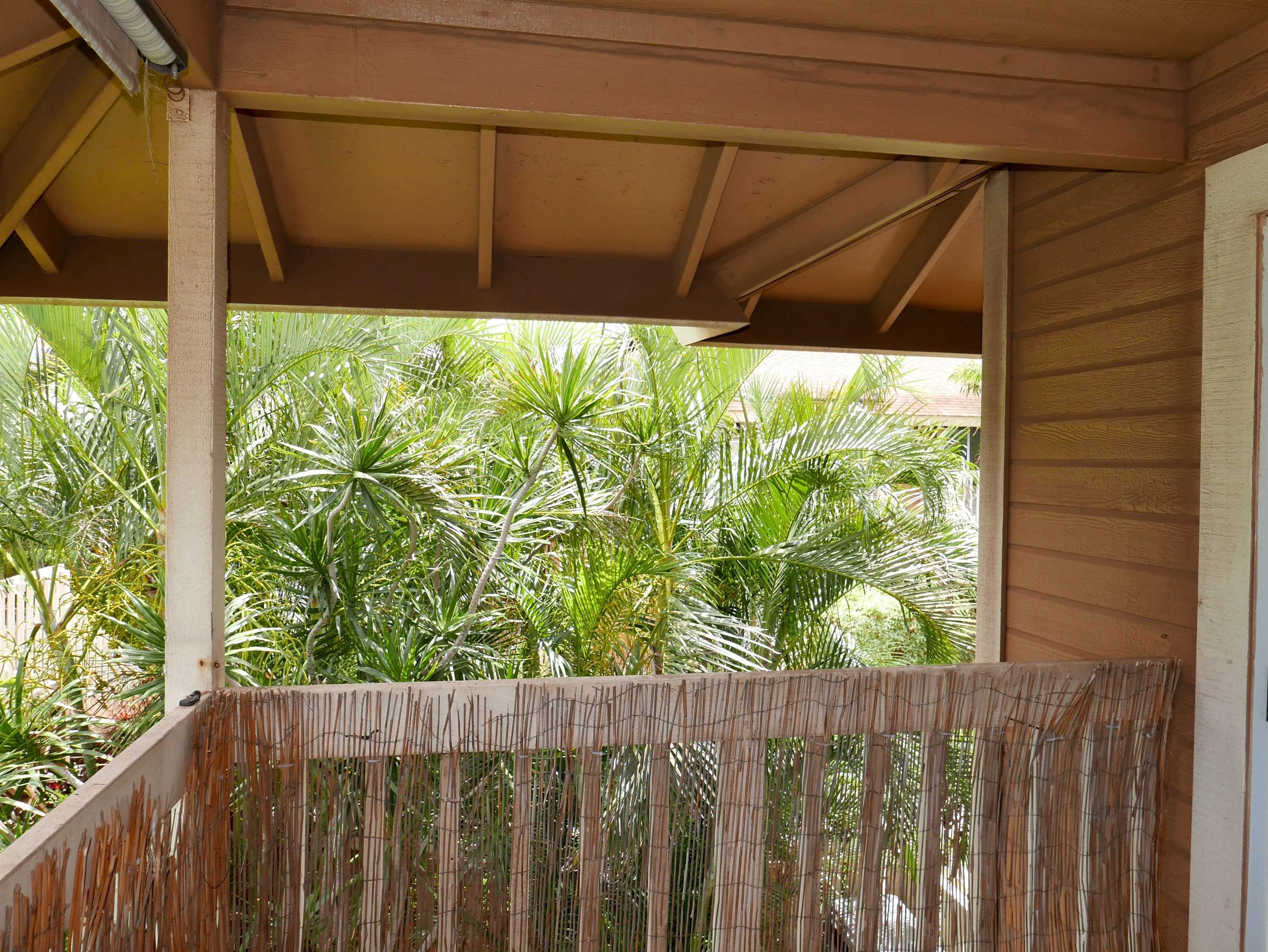 140 Uwapo Road, Unit 38203 Kihei, HI 96753 - Photo 7 of 24