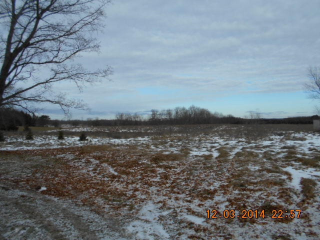 9596 Kerry Road Brethren, MI 49619 - Photo 18 of 19 029