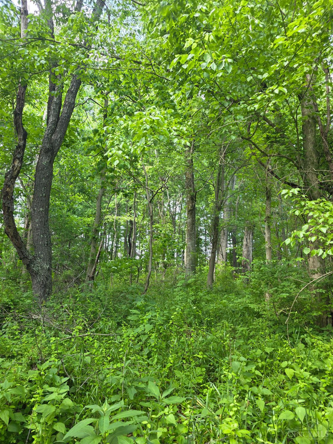 0 Fagins Run Road New Richmond, OH 45157 - Photo 20 of 28