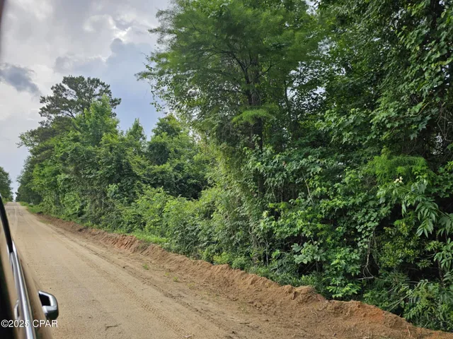 $57,590 | Tbd Obert Road, Cottondale, FL 32431