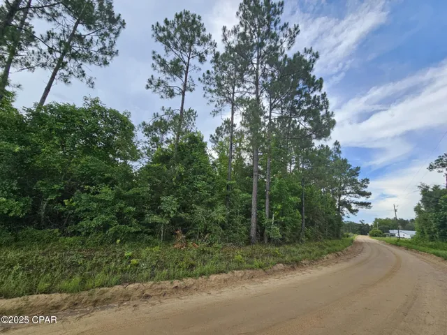 $57,590 | Tbd Obert Road, Cottondale, FL 32431