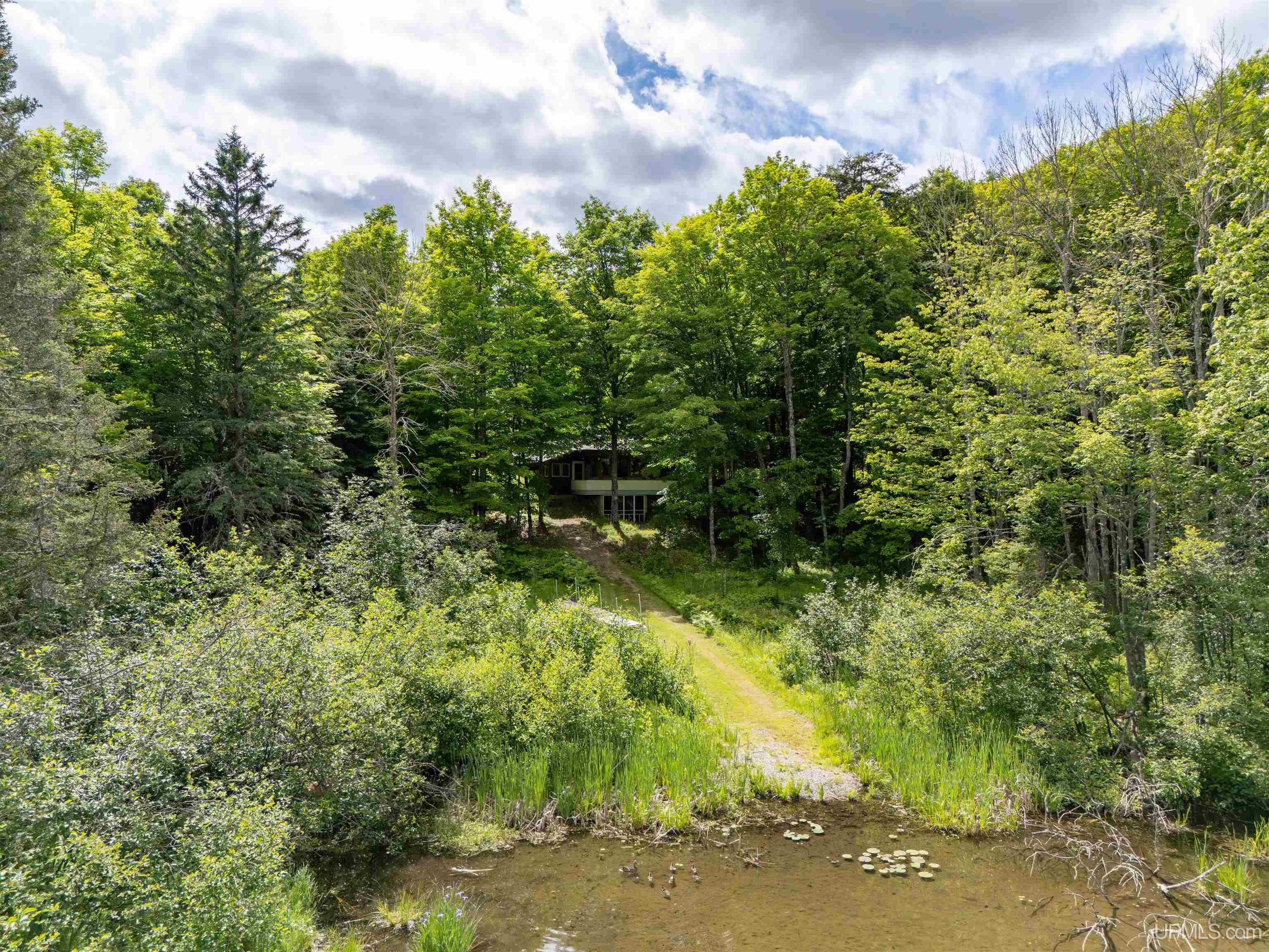 104 North Hagerman Lake Road Iron River, MI 49935 - Photo 50 of 55