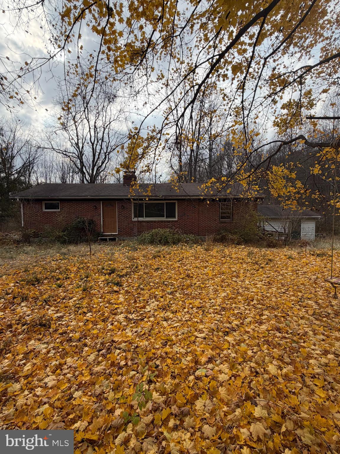 a view of a backyard