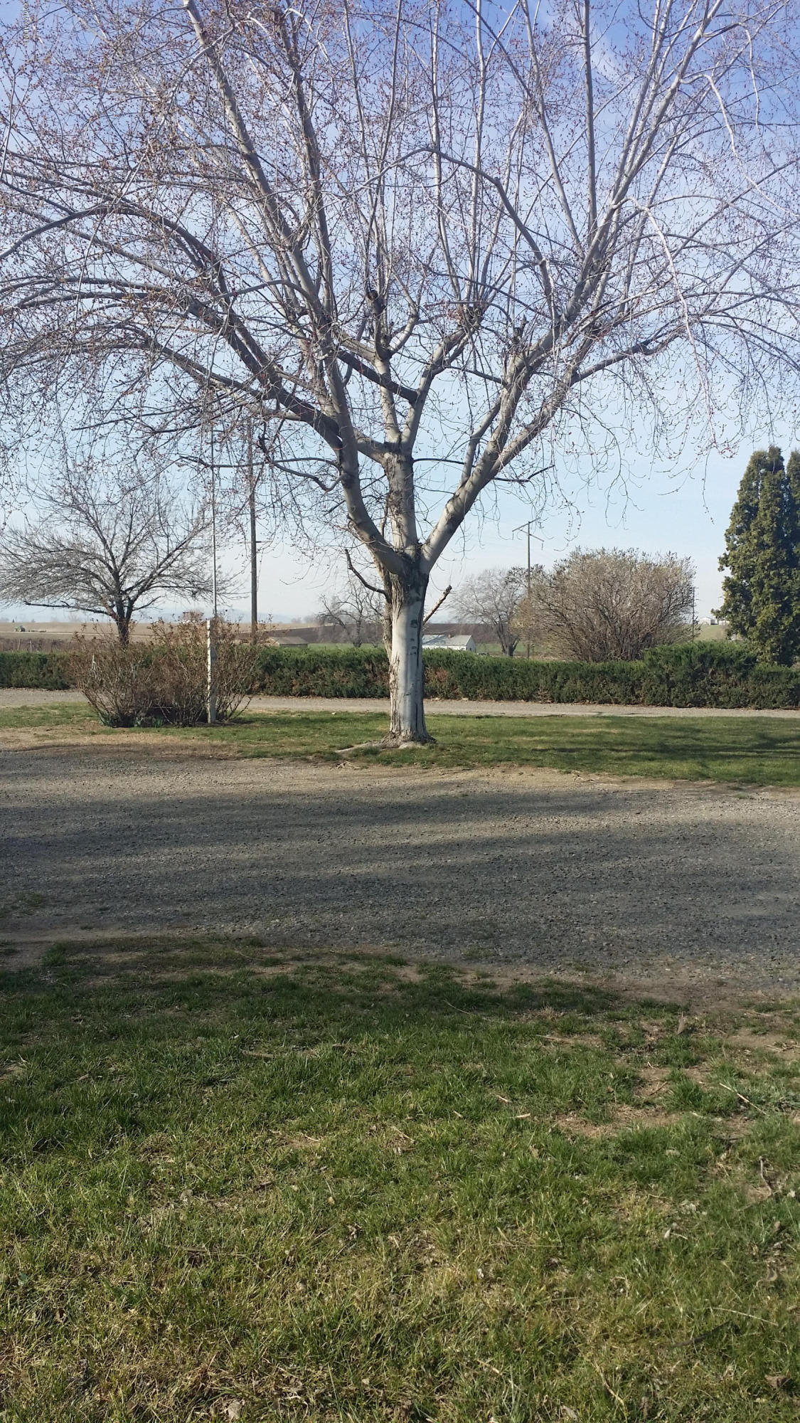 2861 Independence Road Outlook, WA 98938 - Photo 32 of 35 a view of park on green space
