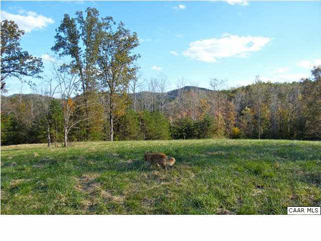 Craigs Store Road Afton, VA 22920 - Photo 6 of 12 a view of a green field with lots of trees
