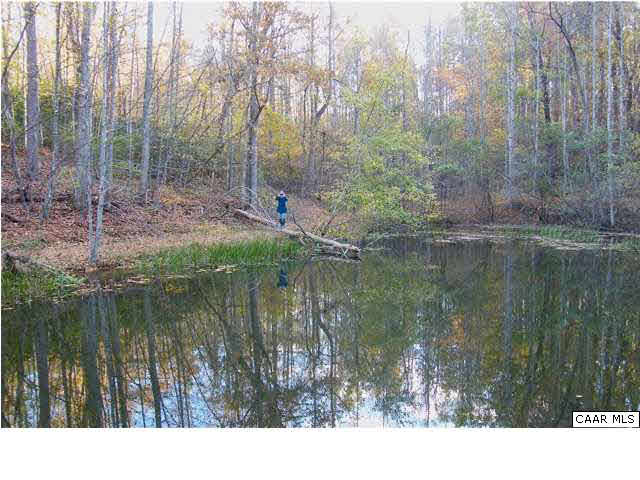 Craigs Store Road Afton, VA 22920 - Photo 7 of 12 a view of lake with green space