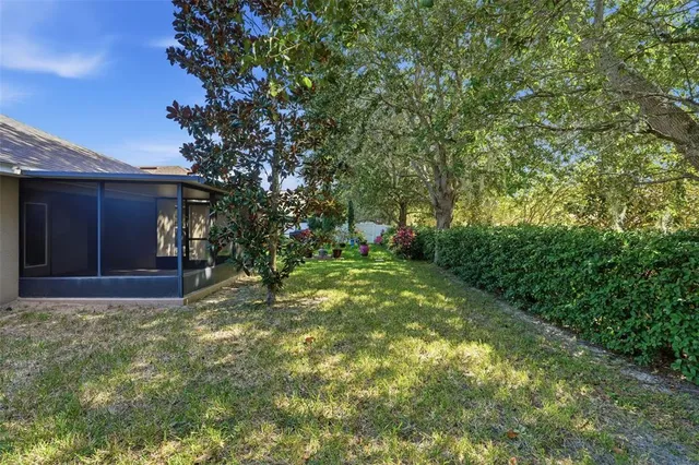 a view of a back yard