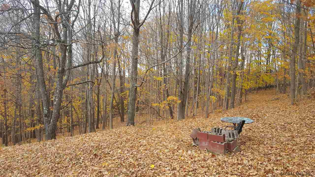 1008 Broome Center Road Broome, NY 12469 - Photo 6 of 22 Photo 6