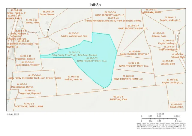 a view of a yard with plants