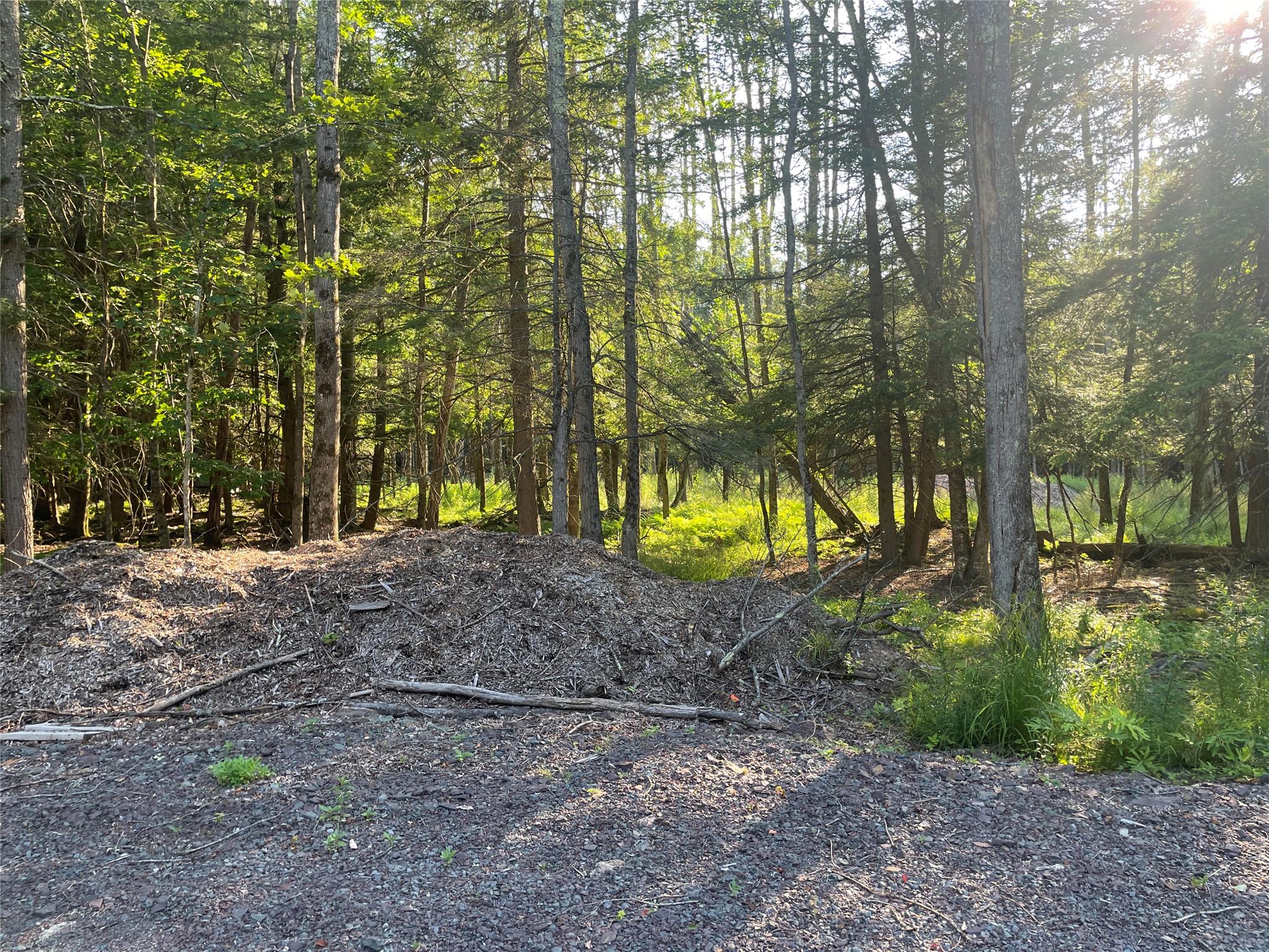 Tbd Lot 8 Boulder Brook Road Windham, NY 12496 - Photo 11 of 47 a view of a yard with a tree