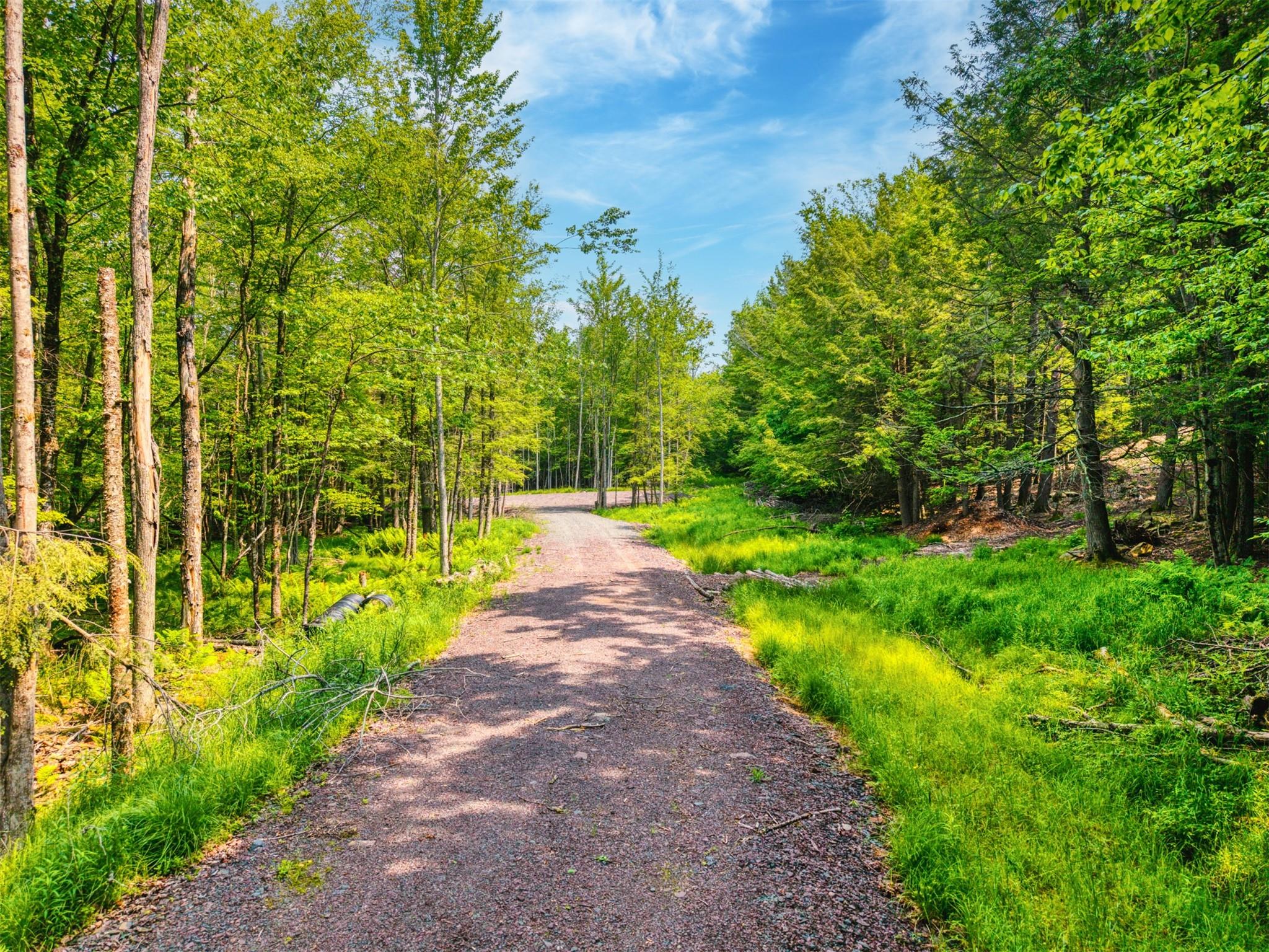 Tbd Lot 8 Boulder Brook Road Windham, NY 12496 - Photo 18 of 47 a view of a pathway with a yard