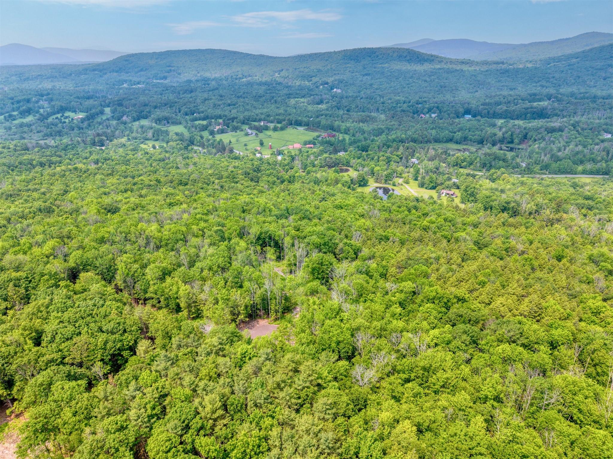 Tbd Lot 8 Boulder Brook Road Windham, NY 12496 - Photo 41 of 47 a view of a lush green forest with trees in the background