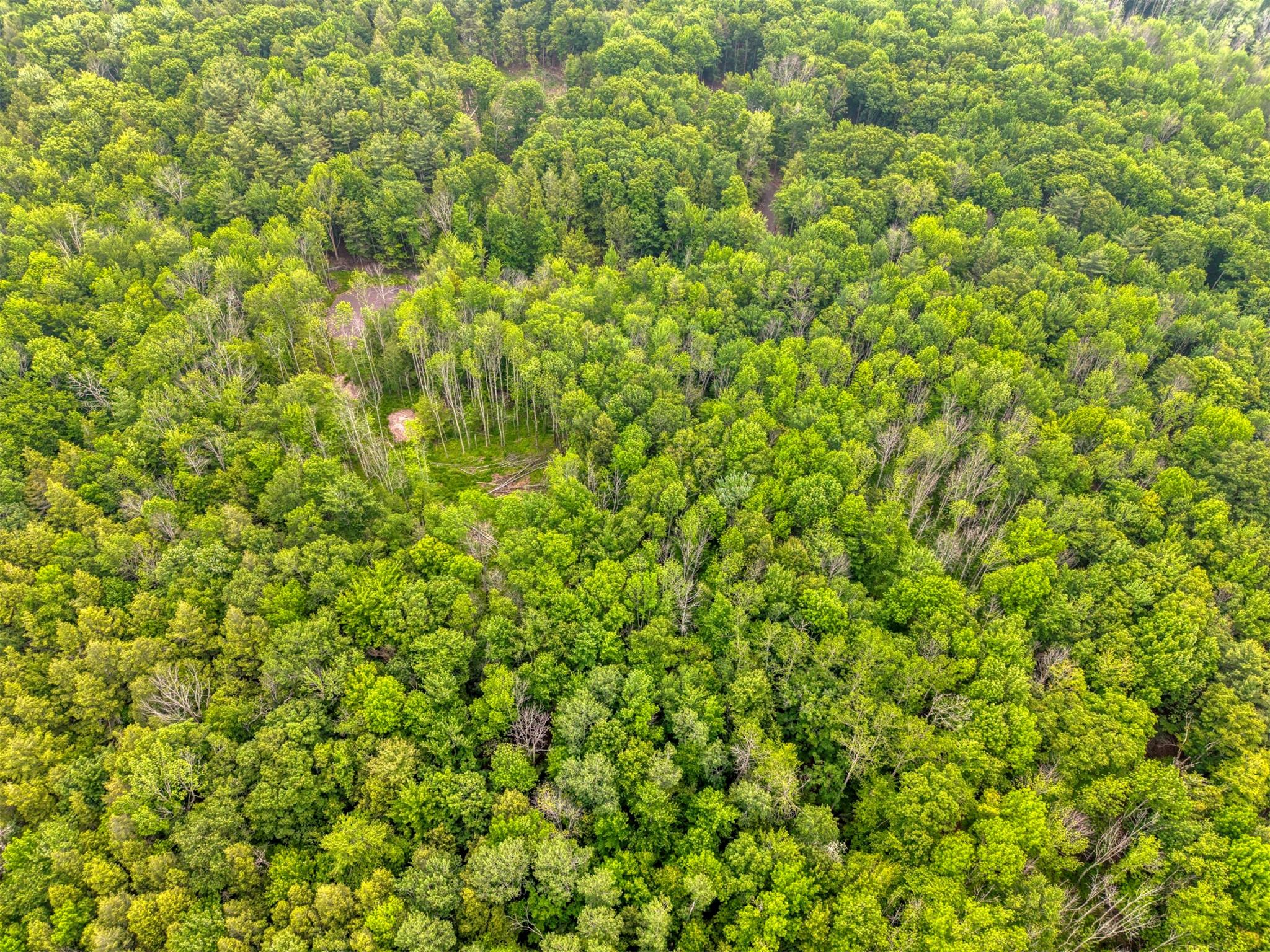 Tbd Lot 8 Boulder Brook Road Windham, NY 12496 - Photo 44 of 47 a view of a lush green field