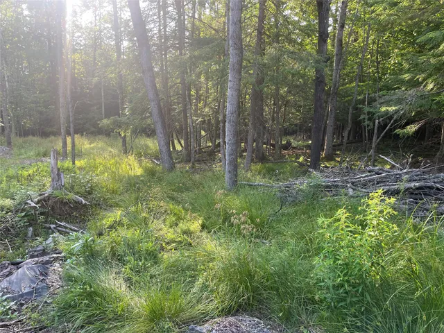 a view of outdoor space and garden