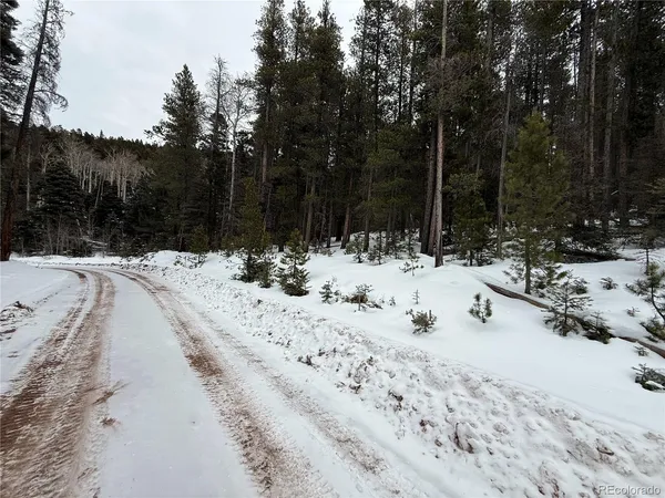 a view of snow on the side of a road
