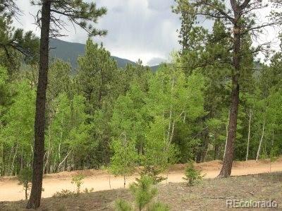 24 Anderson Road Bailey, CO 80421 - Photo 1 of 3 Gallery Image 1