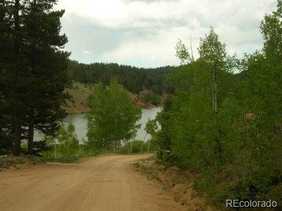 24 Anderson Road Bailey, CO 80421 - Photo 2 of 3 Gallery Image 2