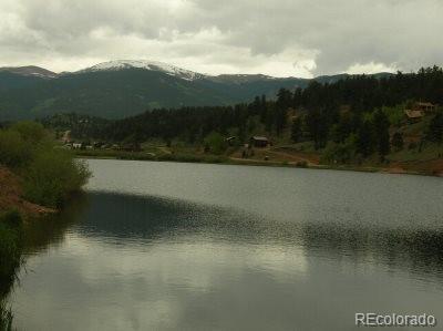 24 Anderson Road Bailey, CO 80421 - Photo 3 of 3 Gallery Image 3