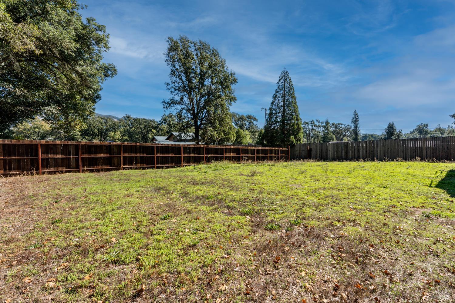 10185 East Road Redwood Valley, CA 95470 - Photo 15 of 17 a view of a with large trees