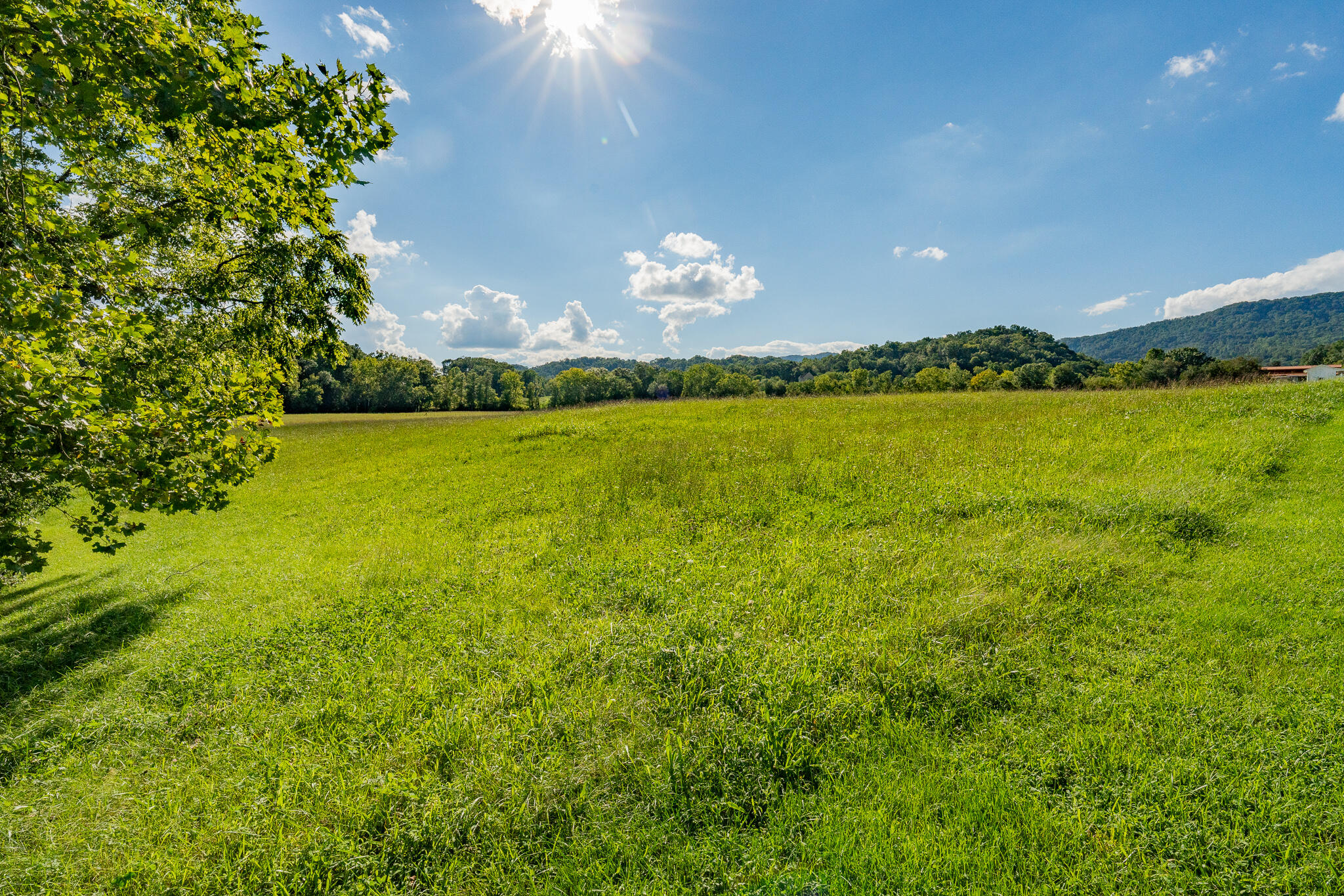 3419 Potato Hill Road Kingsport, TN 37660 - Photo 50 of 70 3419 Potato Hill Rd (44 of 102)